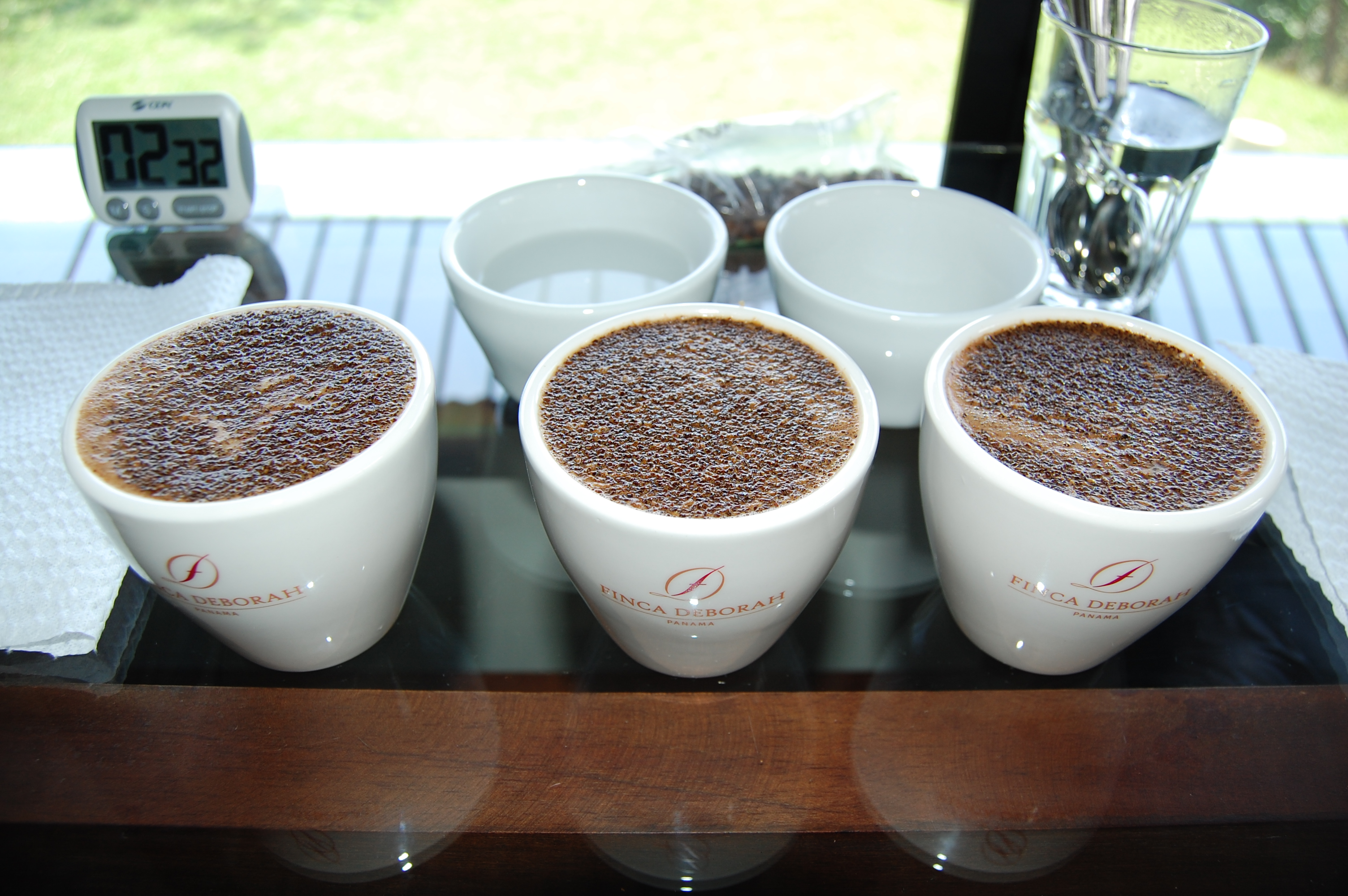 Cupping Finca Deborah Geisha Coffee from Panama.